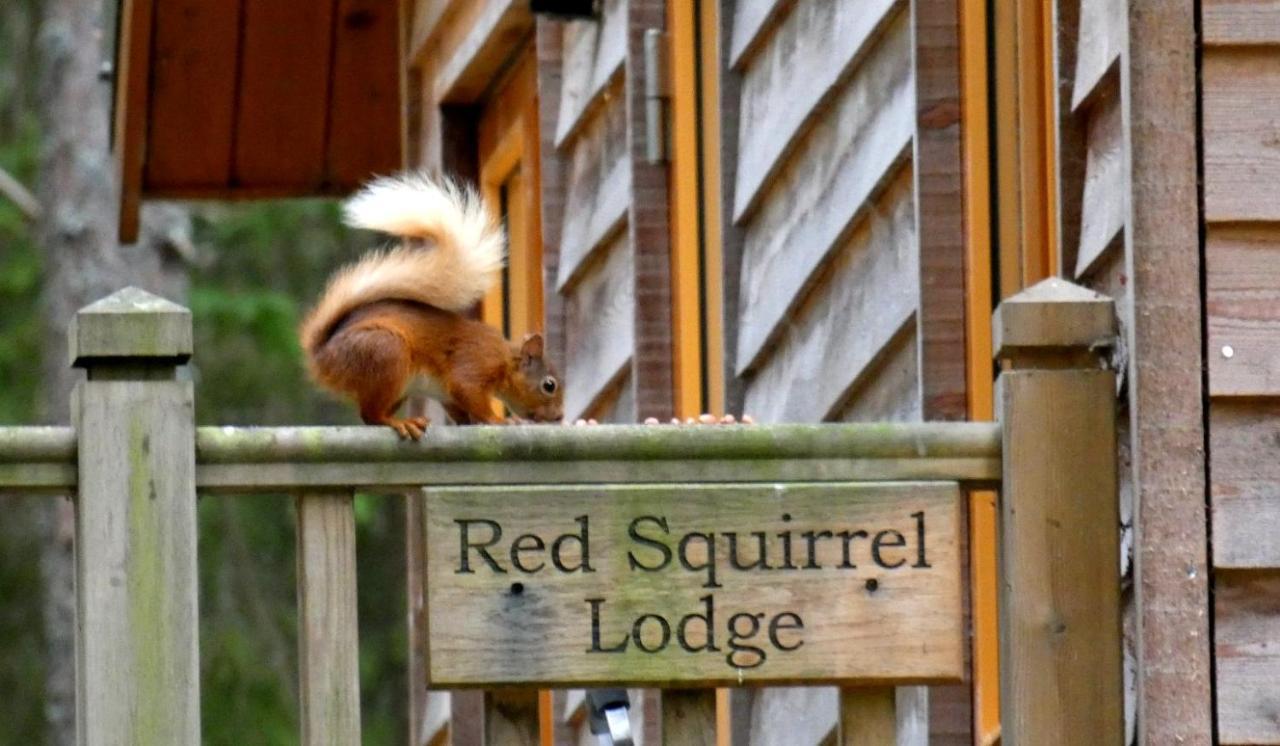 Cairngorm Lodges Aboyne Extérieur photo