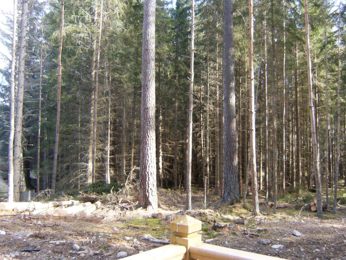 Cairngorm Lodges Aboyne Extérieur photo