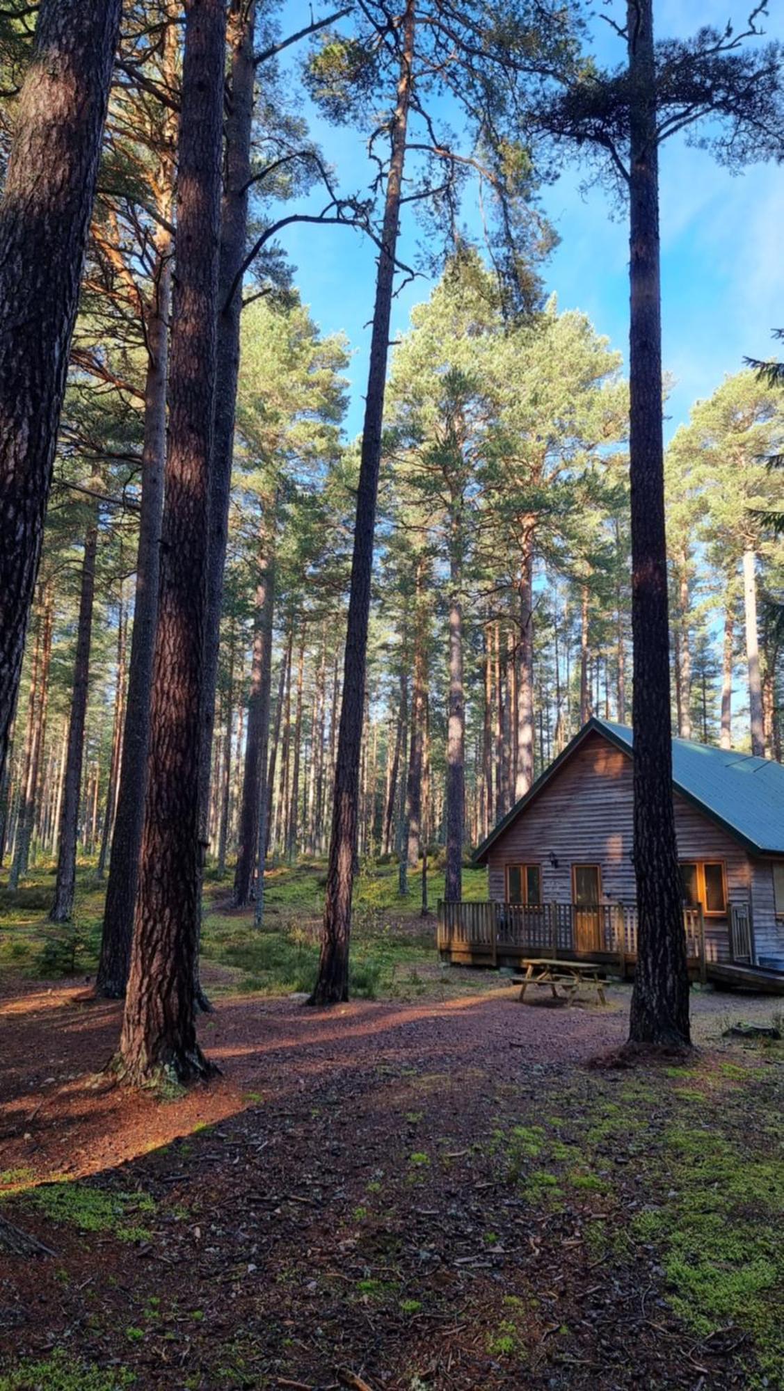 Cairngorm Lodges Aboyne Extérieur photo