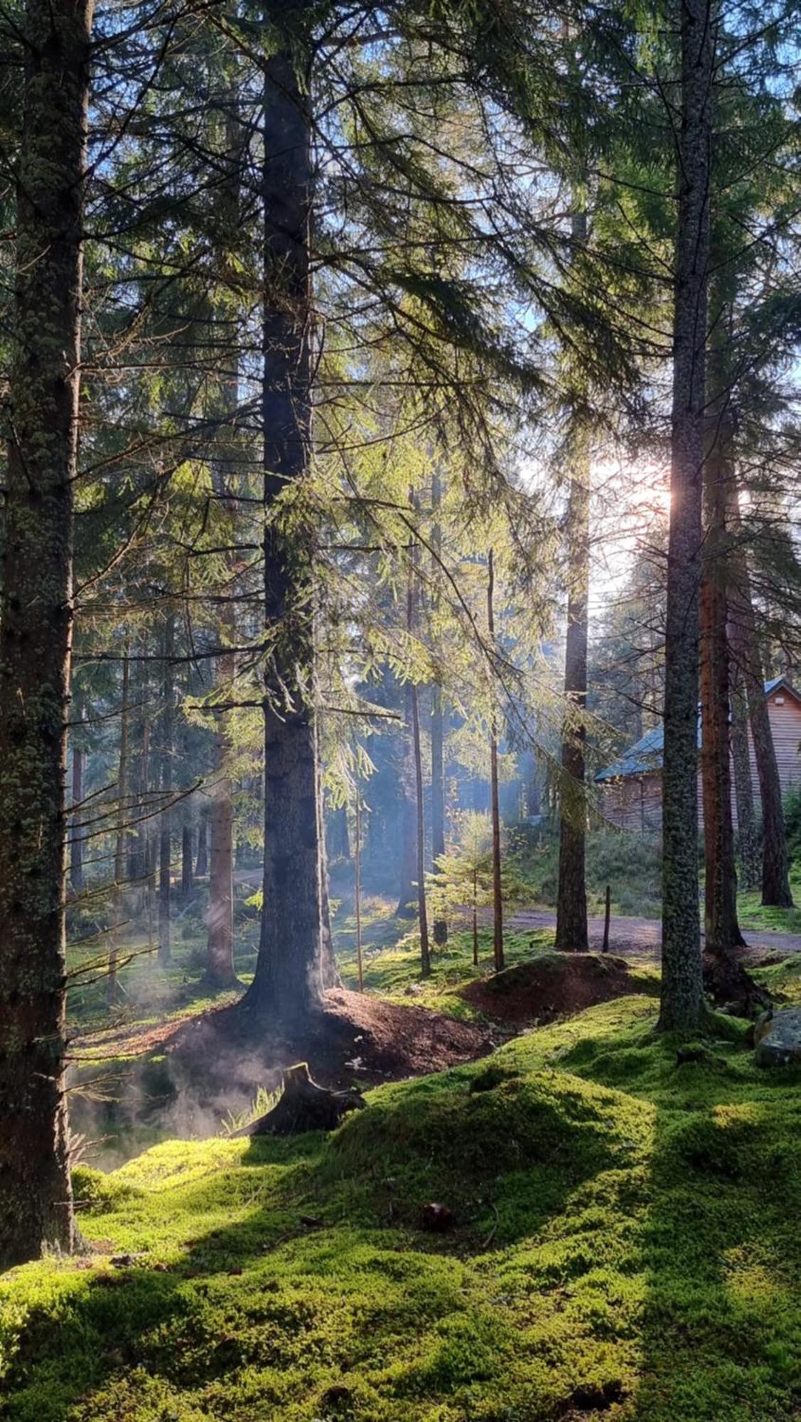 Cairngorm Lodges Aboyne Extérieur photo